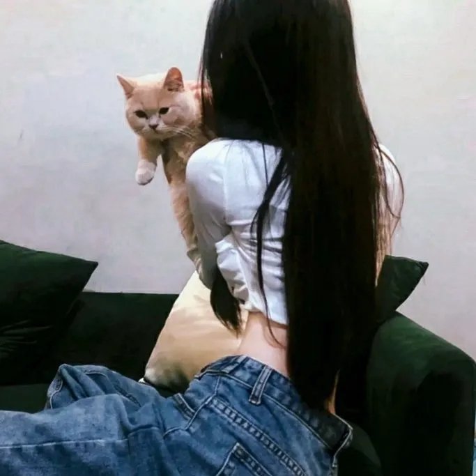 飞吧，冰上之光